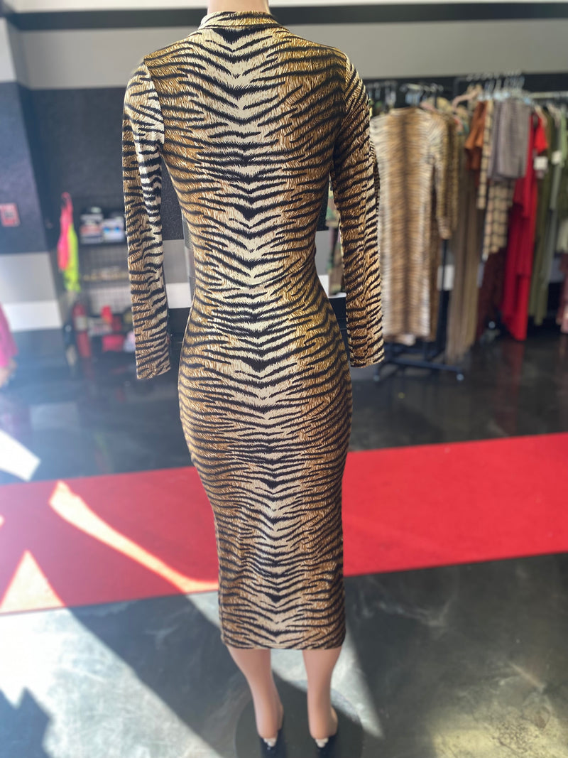 Tiger Striped Long Sleeve Dress